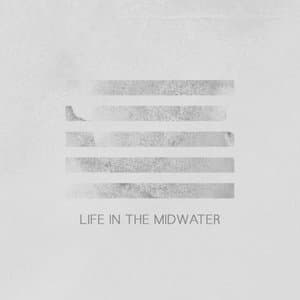 Life in the Midwater