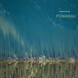 Puwawau