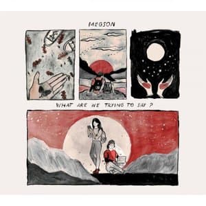 What Are We Trying To Say?