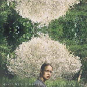 Dinner with Stranger