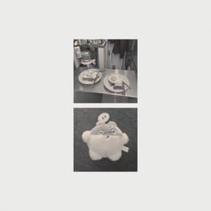 mathematical model 0010