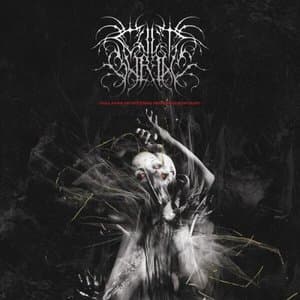 Collapse of Pattern, Reverence of Dust