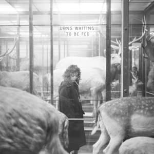 Urns Waiting To Be Fed