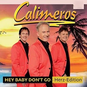 Hey Baby dont go (Herz Edition)