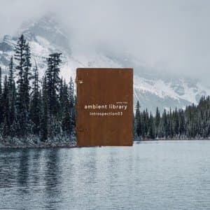 Ambient Library - Introspection03