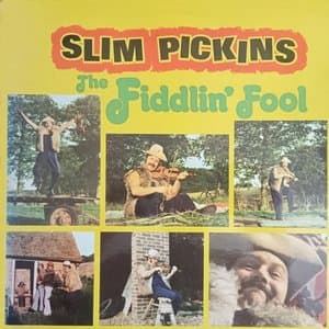 The Fiddlin Fool