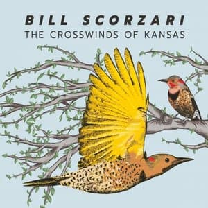 The Crosswinds Of Kansas
