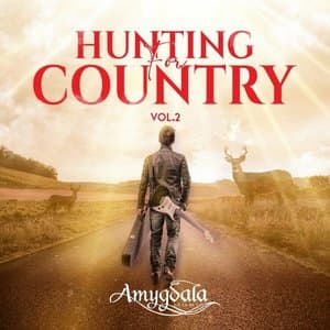 Hunting for Country Vol. 2