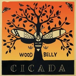 Cicada