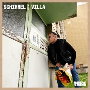 Schimmel in der Villa