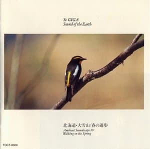 Bei Hai Dao *Da Xue Shan  - Chun noYou Bu  (Walking on the Spring)