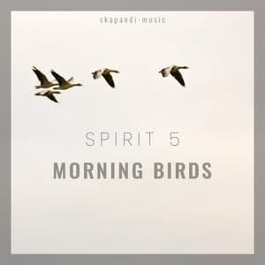 Morning Birds