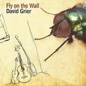 Fly On The Wall