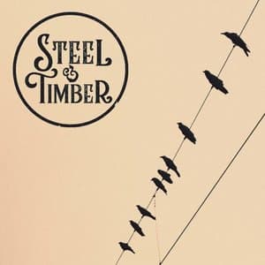 Steel & Timber