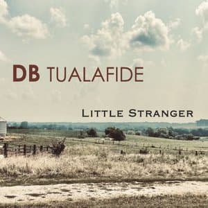 Little Stranger