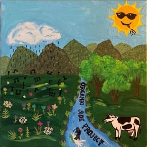 Organic Side Project