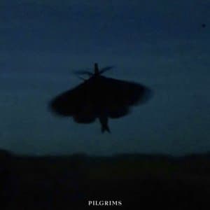 Pilgrims