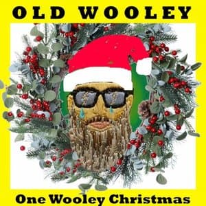 One Wooley Christmas