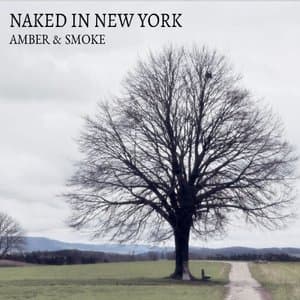 Naked in New York