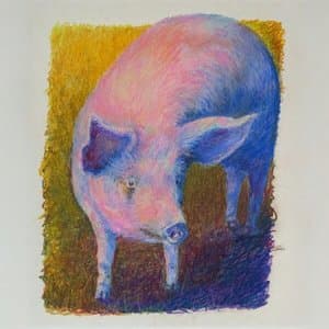 Too Pretty for the Blues