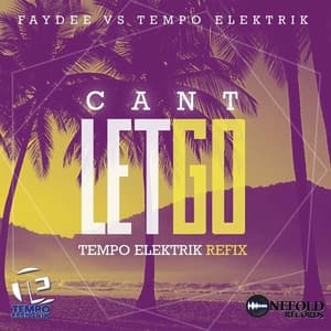 Can't Let Go (Faydee Vs. Tempo Elektrik)
