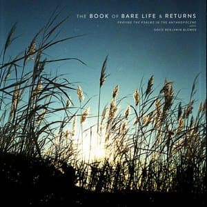 The Book of Bare Life & Returns: Praying the Psalms in the Anthropocene