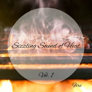 Fire: Sizzling Sound of Heat Vol. 1