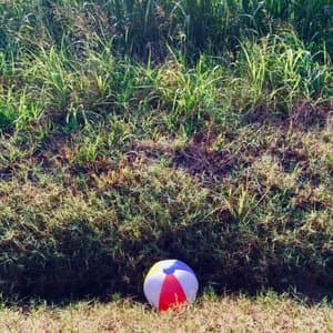 Bicycles in the Trees (A Requiem)