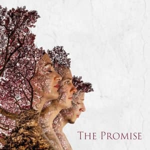 The Promise