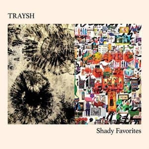 Shady Favorites