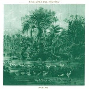Ficciones Del Tropico