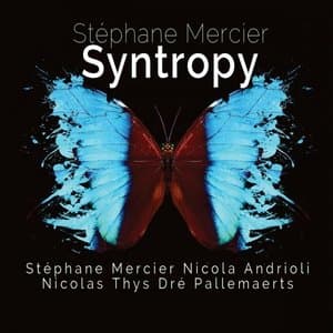 Syntropy