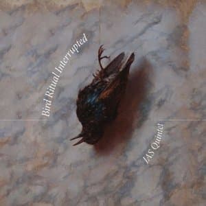 Bird Ritual Interrupted