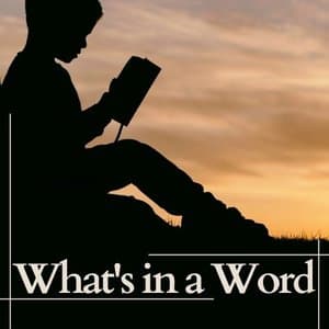 Whats in a Word