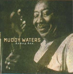 [vol.47] Muddy Waters (Honey Bee)