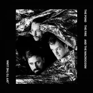 The Pond, The Fire and The Macrocosm