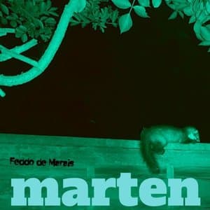 Marten