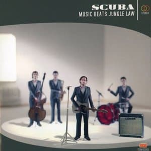 Music Beats Jungle Law