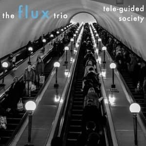 Tele-Guided Society