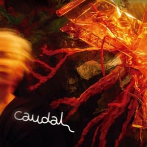 Caudal