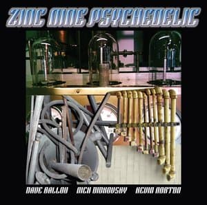 Zinc Nine Psychedelic