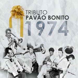 Tocata Pavao Bonito Tributo 1974
