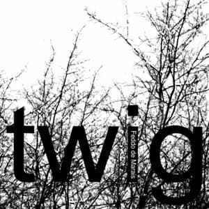 Twig