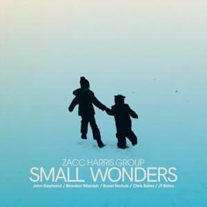 Small Wonders