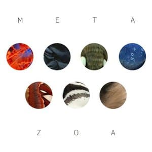 Metazoa