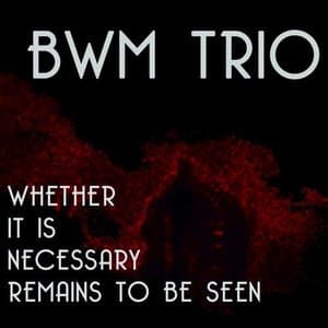 Whether It Is Necessary Remains to Be Seen