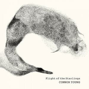 Flight of the Starlings