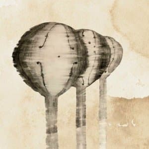 Have You Seen Across The Bridge