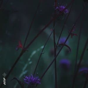 The Weatherman is Wrong