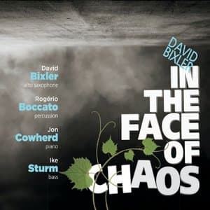 In the Face of Chaos (feat. Rogerio Boccato, Jon Cowherd, & Ike Sturm)